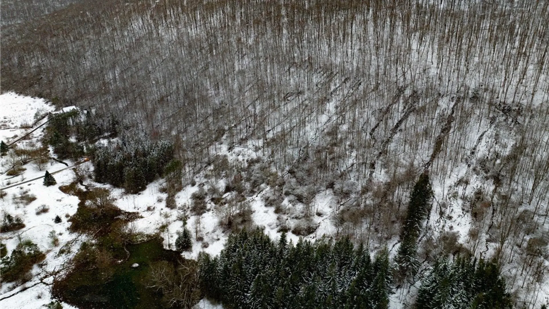 Property at Maples Road, Ellicottville, NY 14731 12