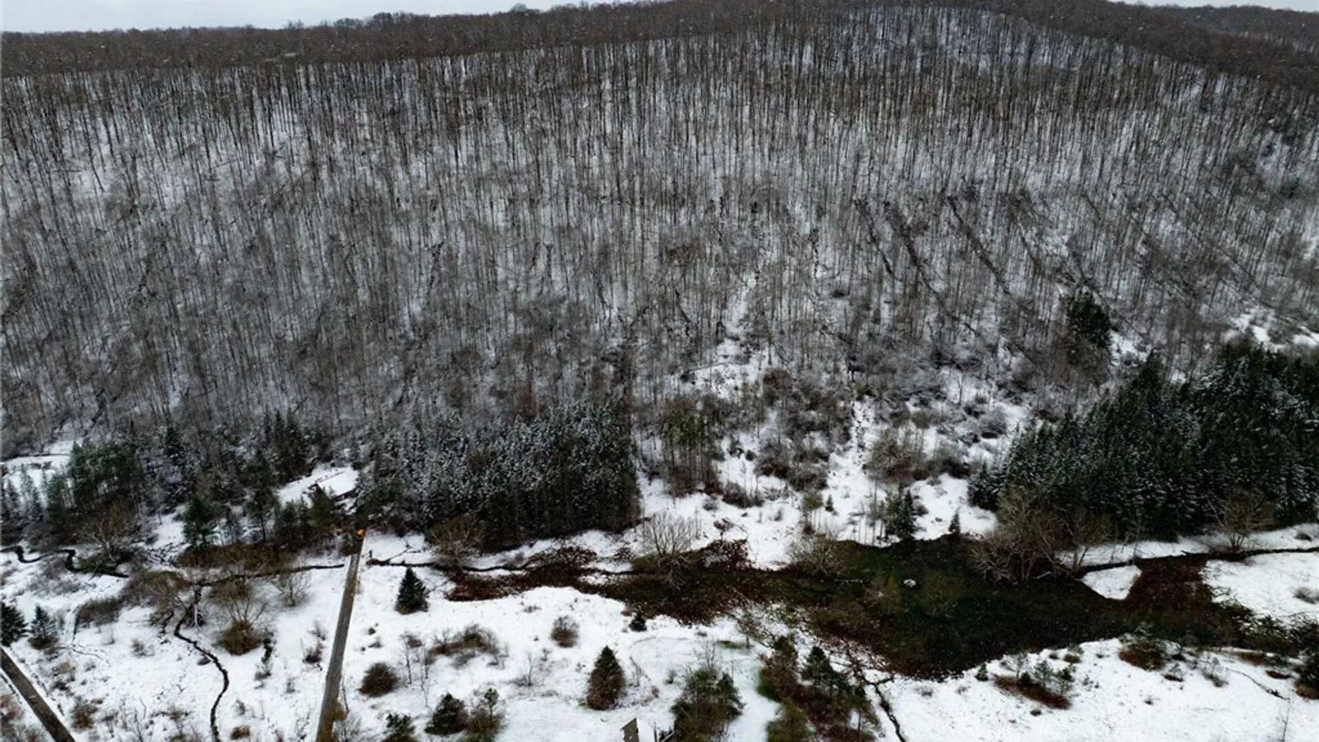 Property at Maples Road, Ellicottville, NY 14731 14