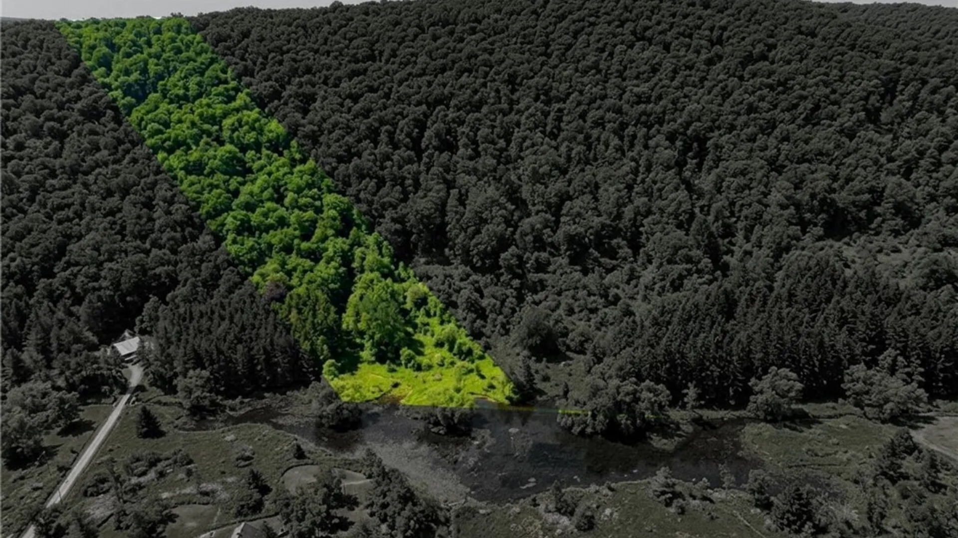 Property at Maples Road, Ellicottville, NY 14731 2