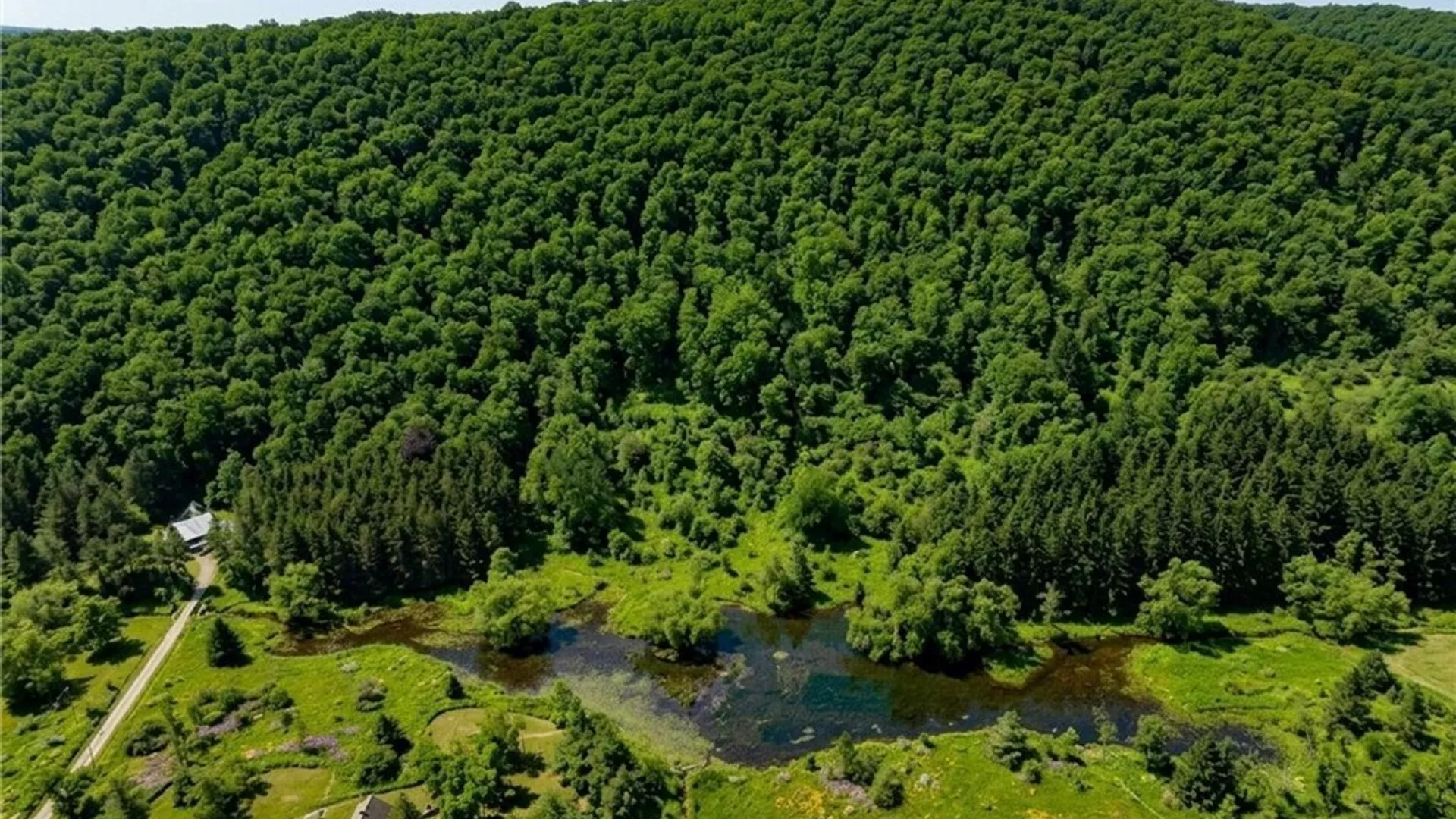 Property at Maples Road, Ellicottville, NY 14731 3