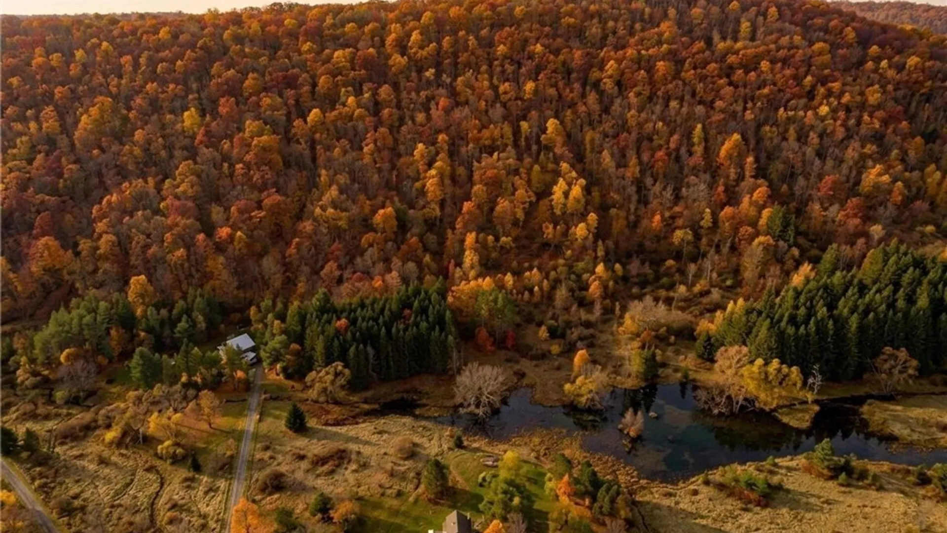 Property at Maples Road, Ellicottville, NY 14731 5