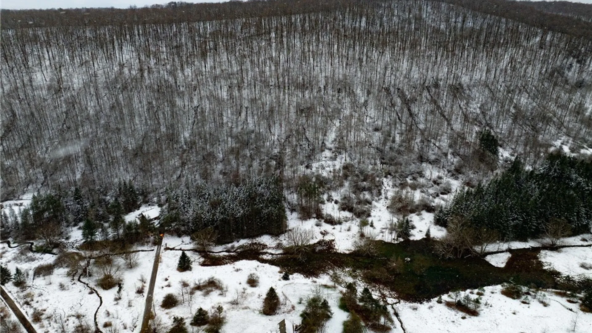 Property at Maples Road, Ellicottville, NY 14731 6