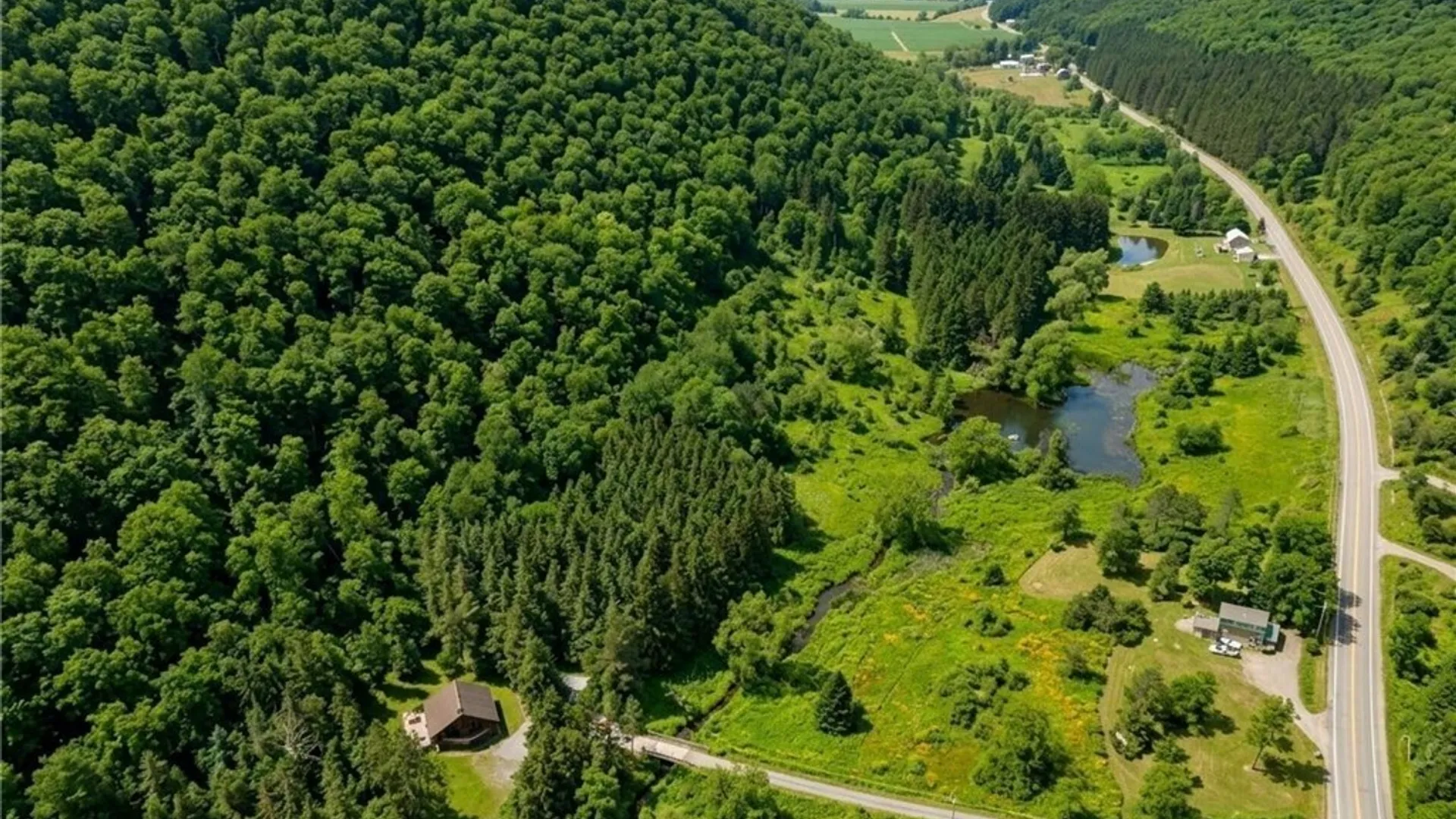 Property at Maples Road, Ellicottville, NY 14731 7