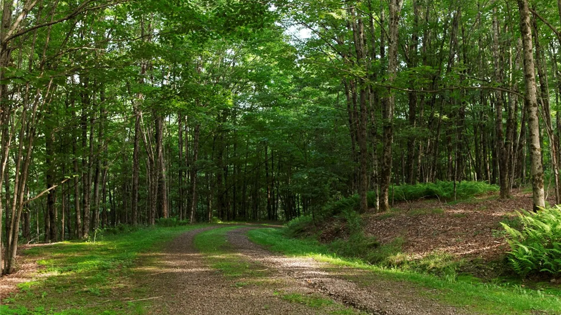 Property at 2074 Bramley Mountain Road, Bovina, NY 13740 47