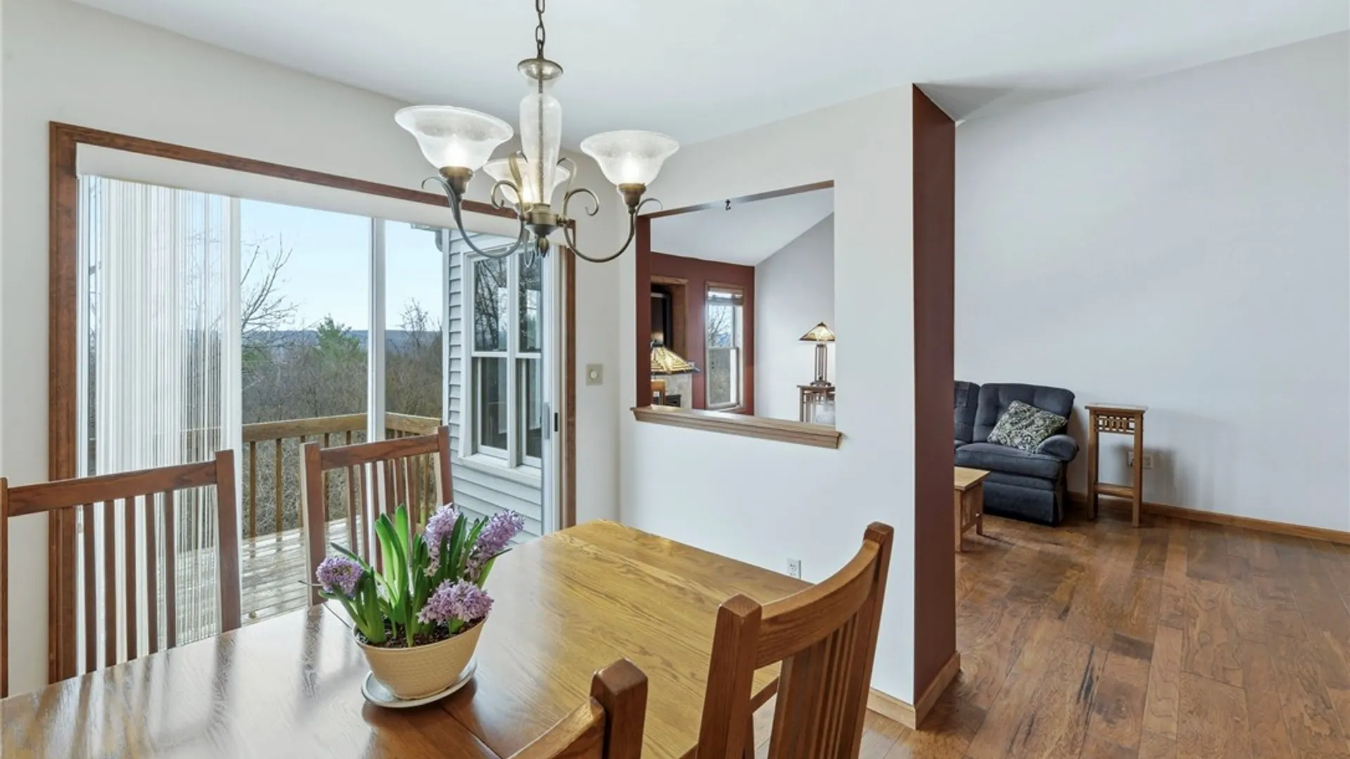 Property at 393 Teton Court, Ithaca Town, NY 14850 12