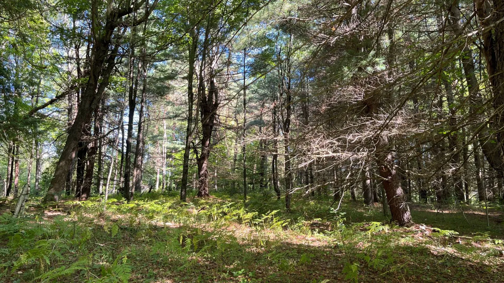 Property at 00 County Route 47, Winthrop, NY 13676 10