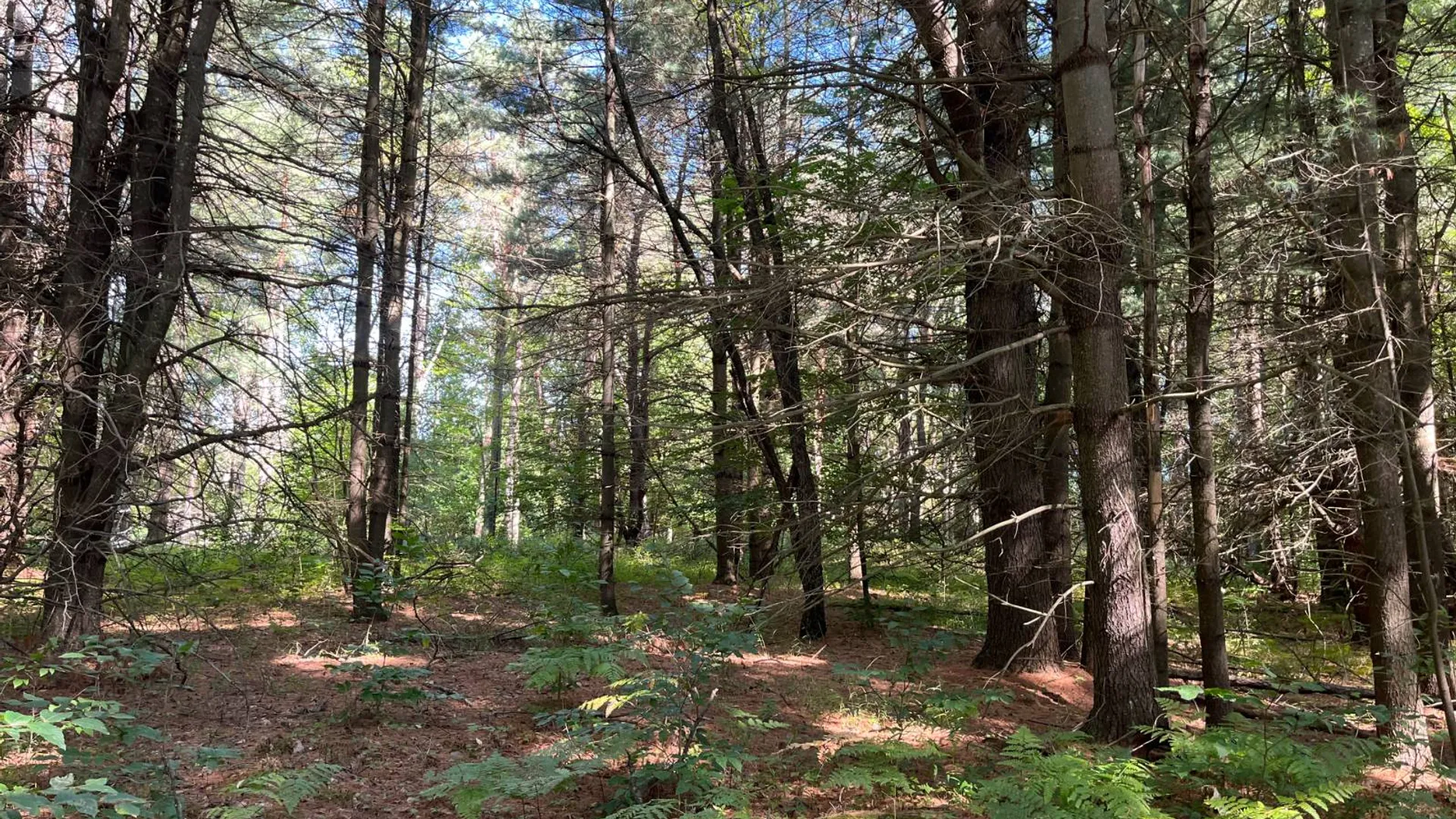 Property at 00 County Route 47, Winthrop, NY 13676 12