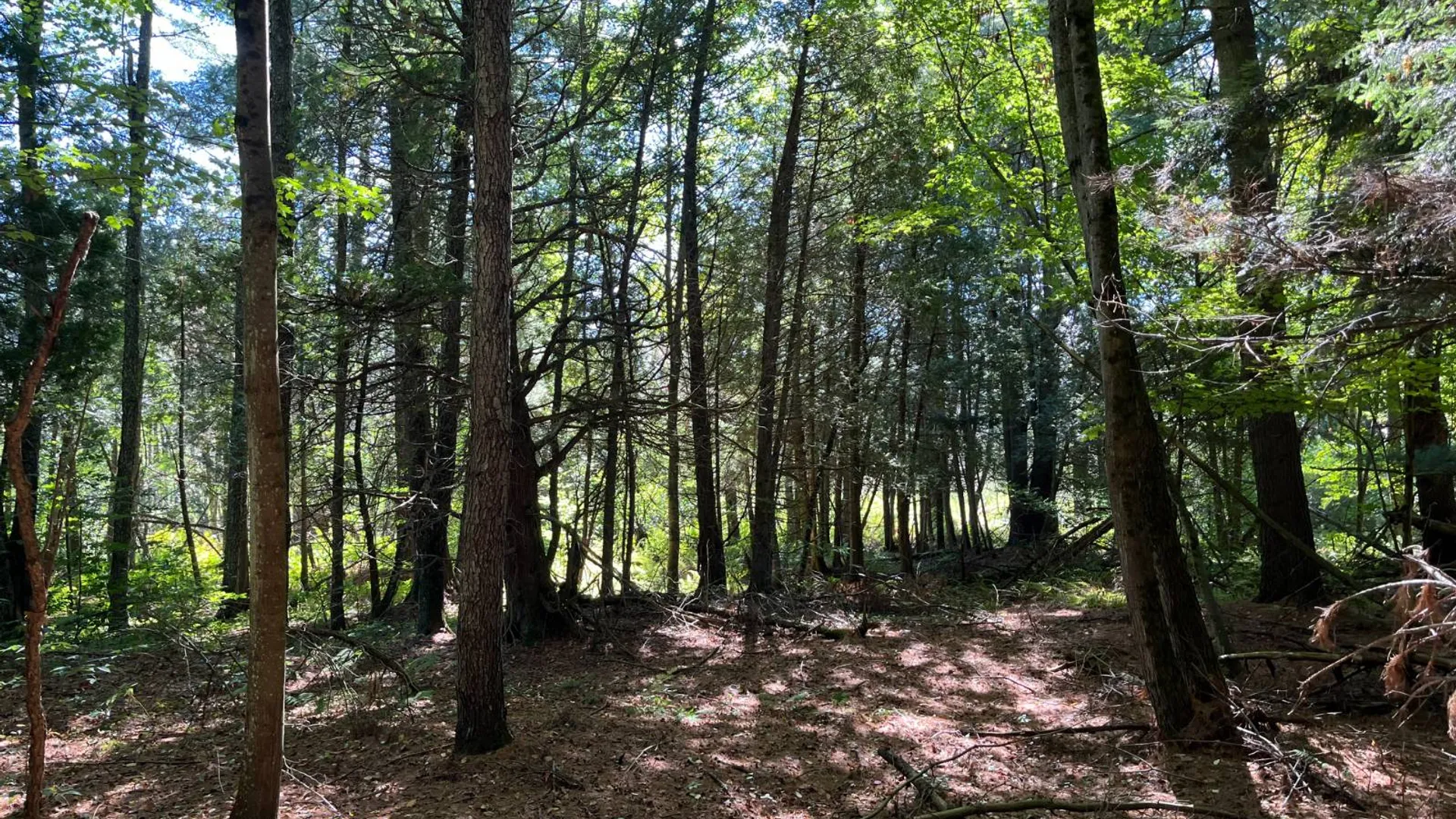 Property at 00 County Route 47, Winthrop, NY 13676 13