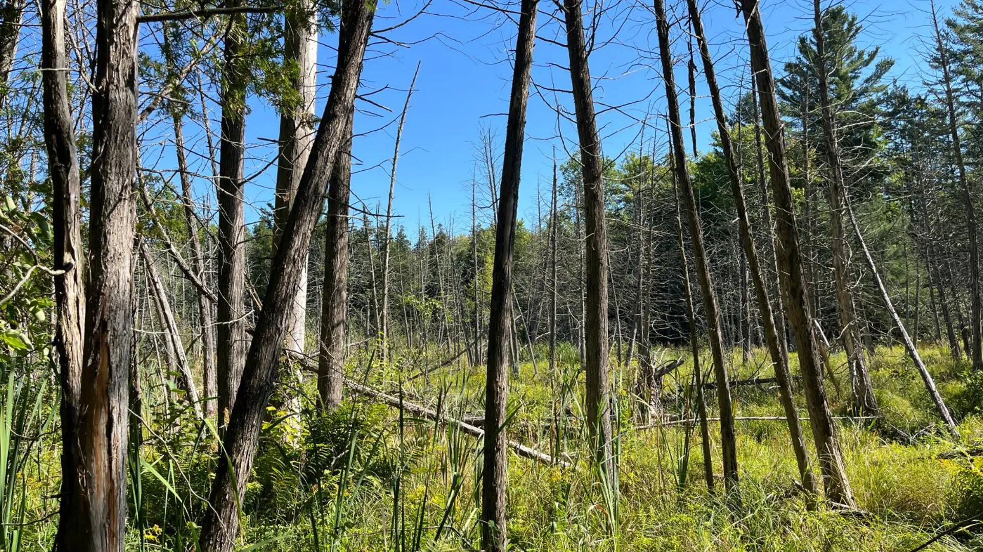 Property at 00 County Route 47, Winthrop, NY 13676 14