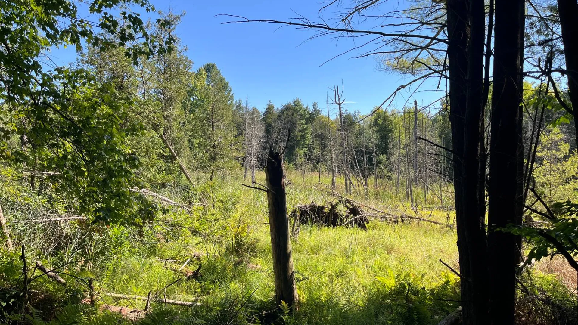 Property at 00 County Route 47, Winthrop, NY 13676 15