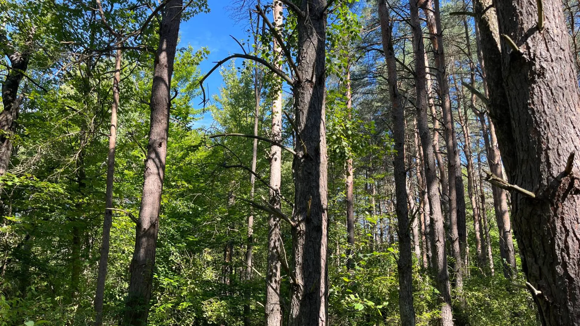 Property at 00 County Route 47, Winthrop, NY 13676 16