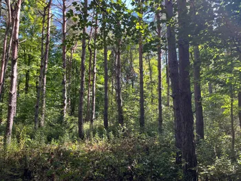 Property at 00 County Route 47, Winthrop, NY 13676