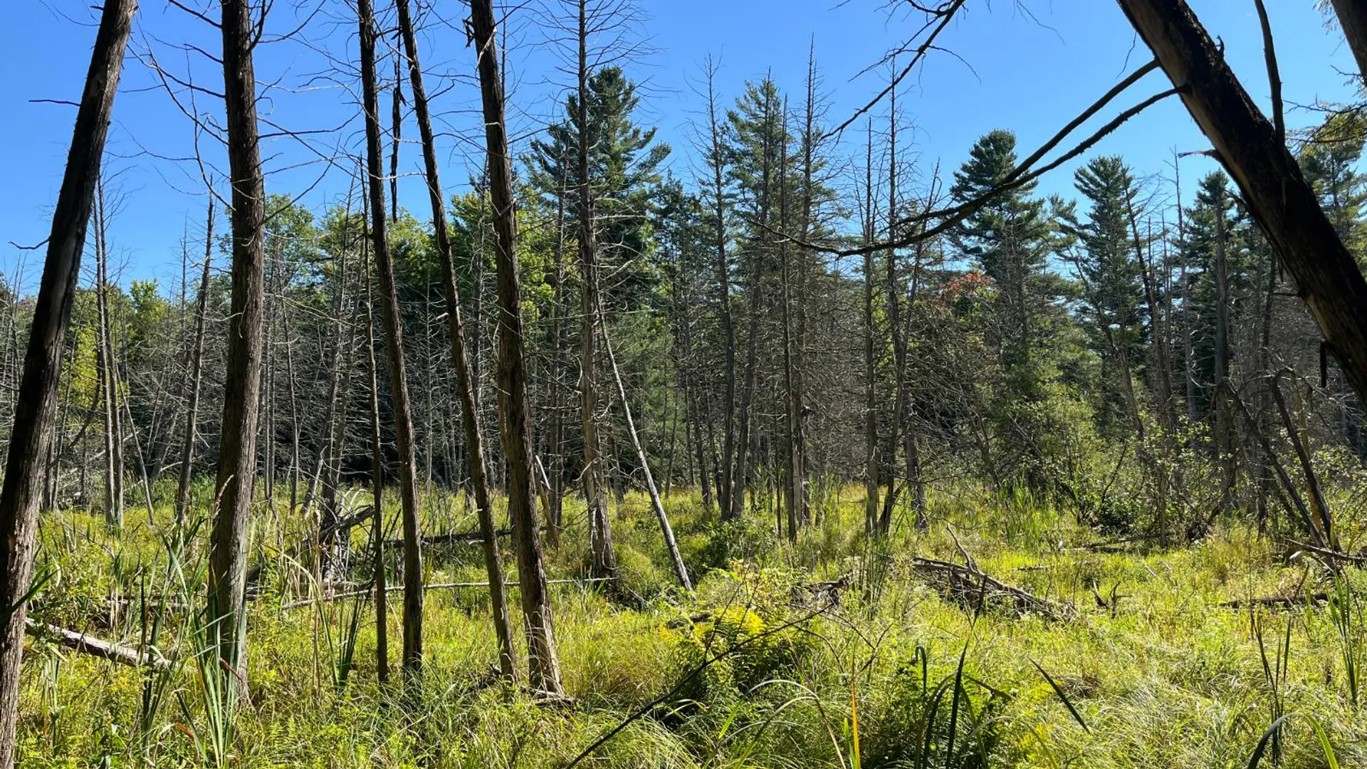Property at 00 County Route 47, Winthrop, NY 13676 2