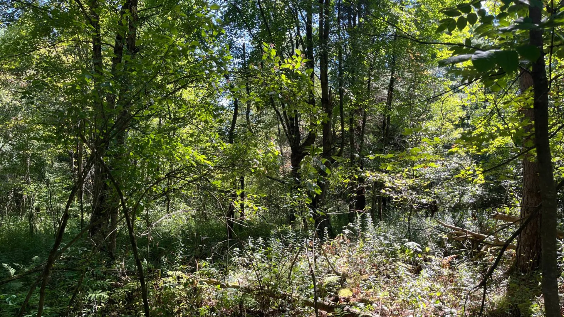 Property at 00 County Route 47, Winthrop, NY 13676 3