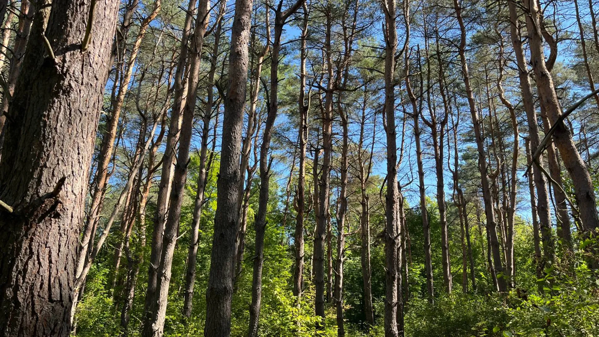 Property at 00 County Route 47, Winthrop, NY 13676 6