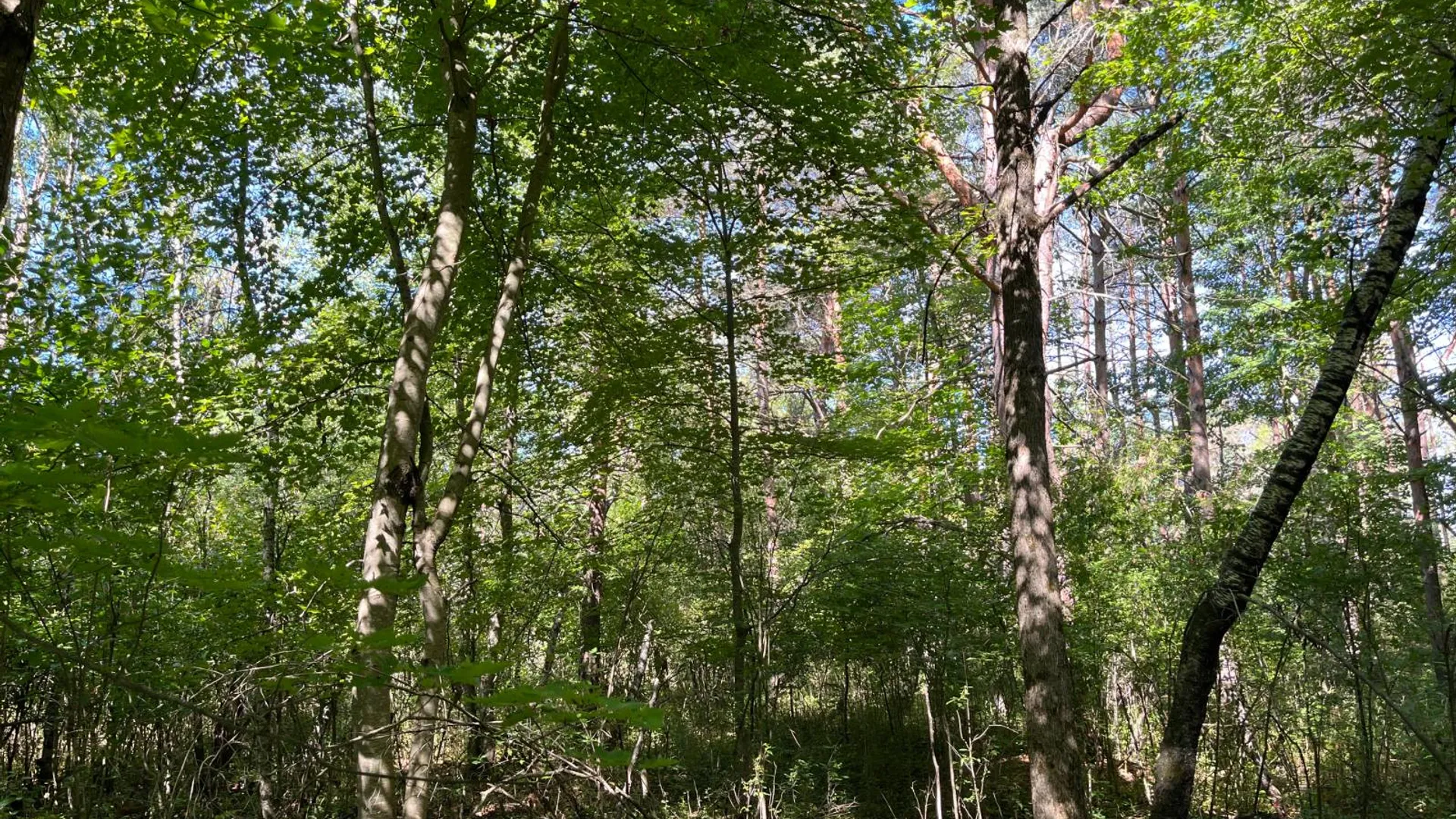 Property at 00 County Route 47, Winthrop, NY 13676 7