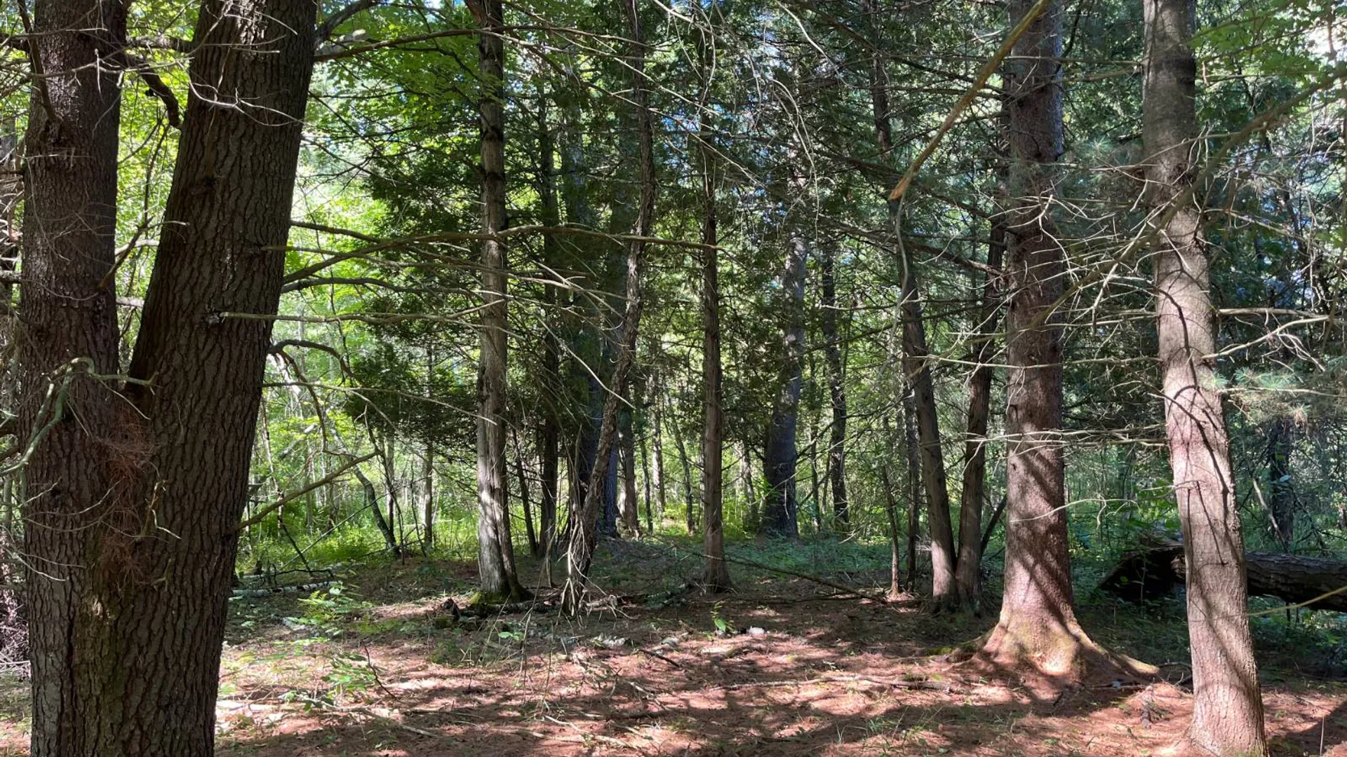 Property at 00 County Route 47, Winthrop, NY 13676 9