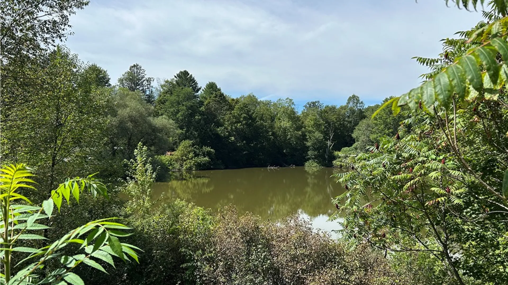 Property at 1991 State Highway 23, Morris, NY 13808 38