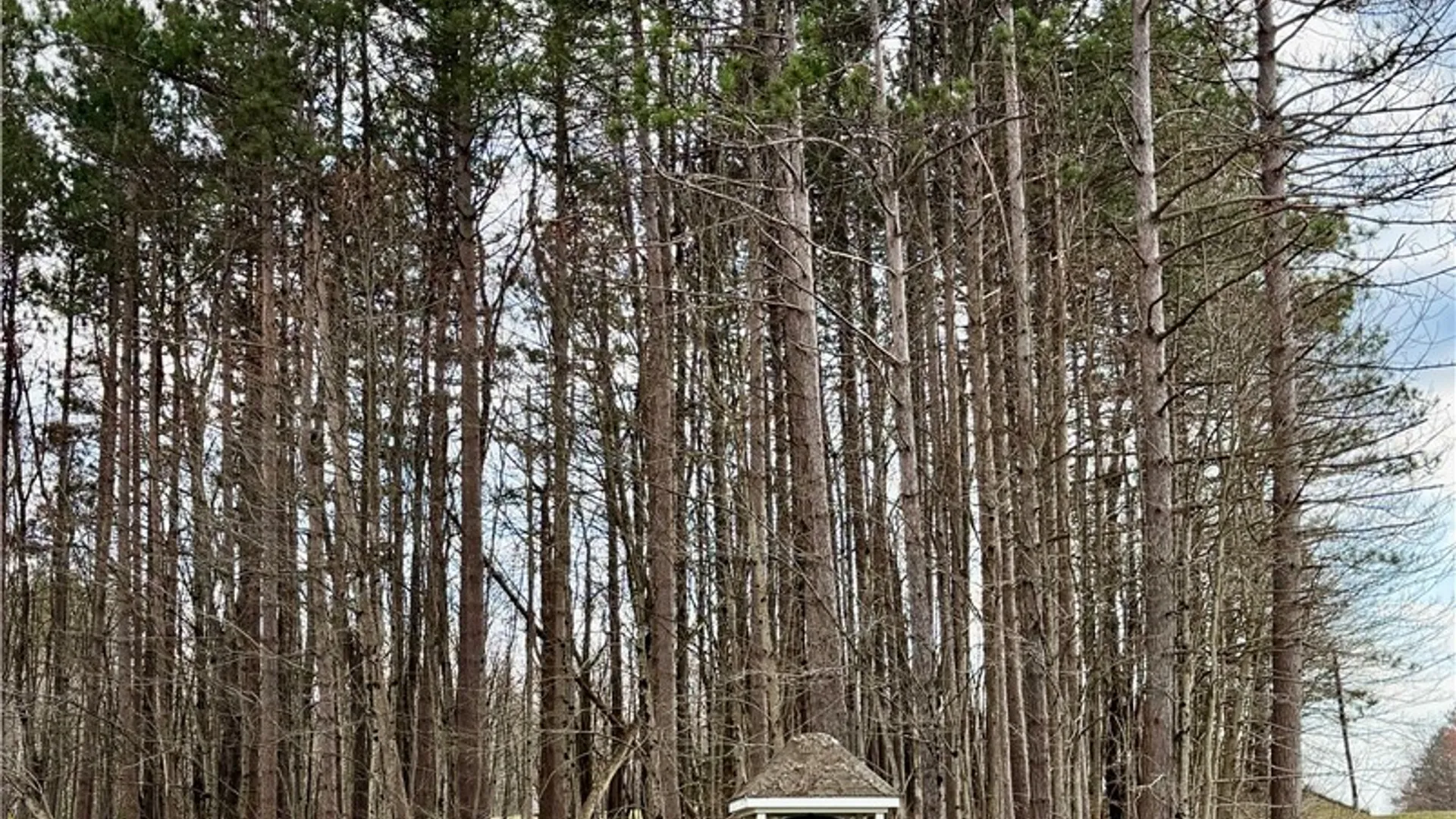 Property at 428 Old State Road, Redfield, NY 13437 36