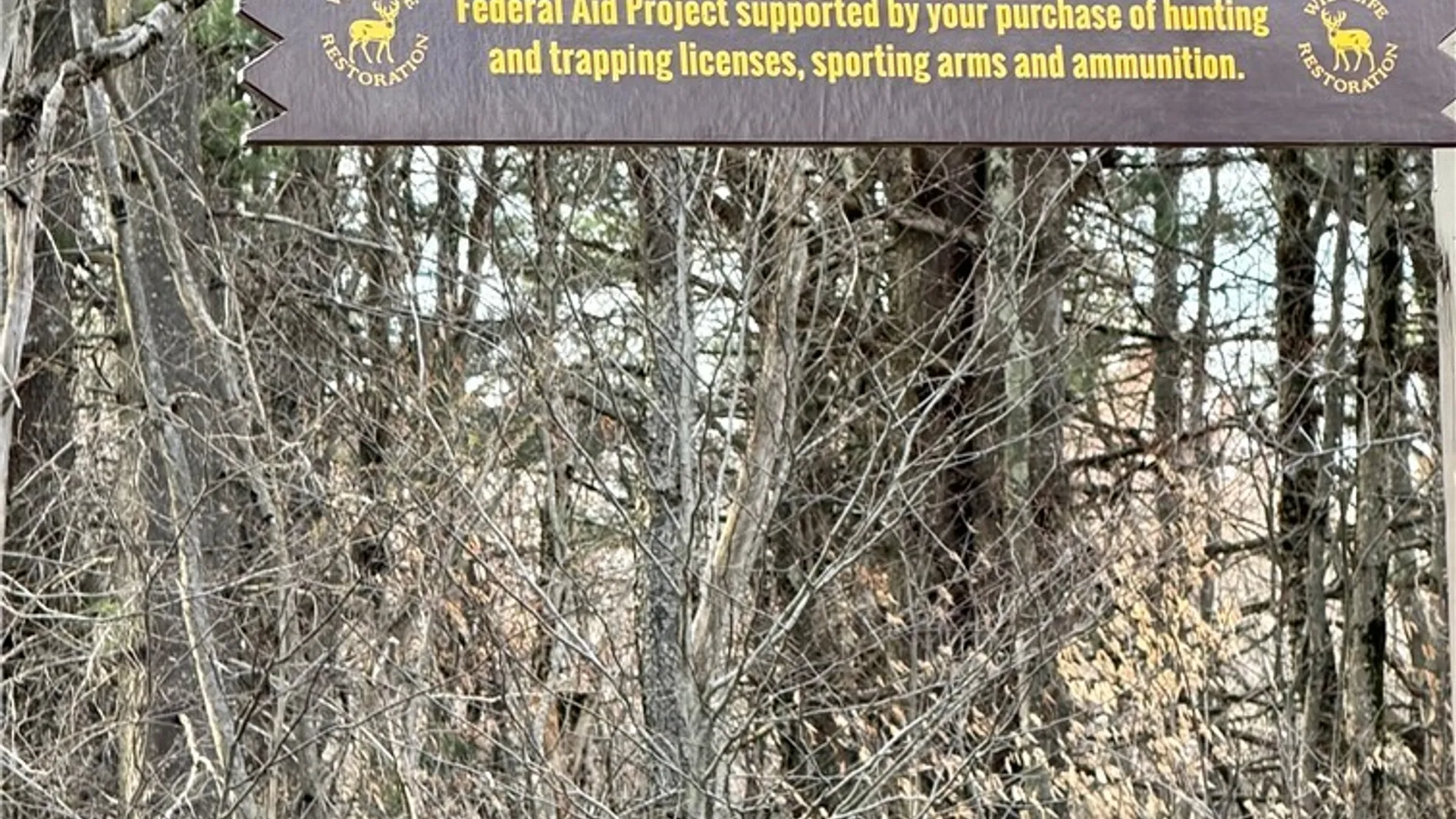 Property at 428 Old State Road, Redfield, NY 13437 37