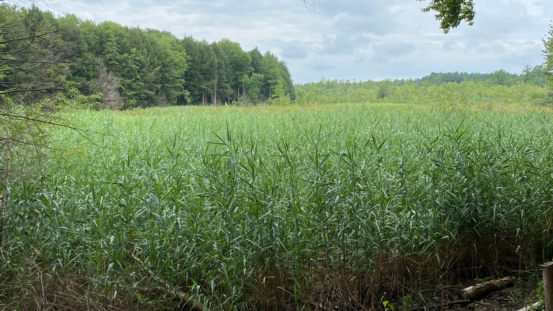 Property at Fisherman's Bridge Road, Williamstown, NY 13493 13