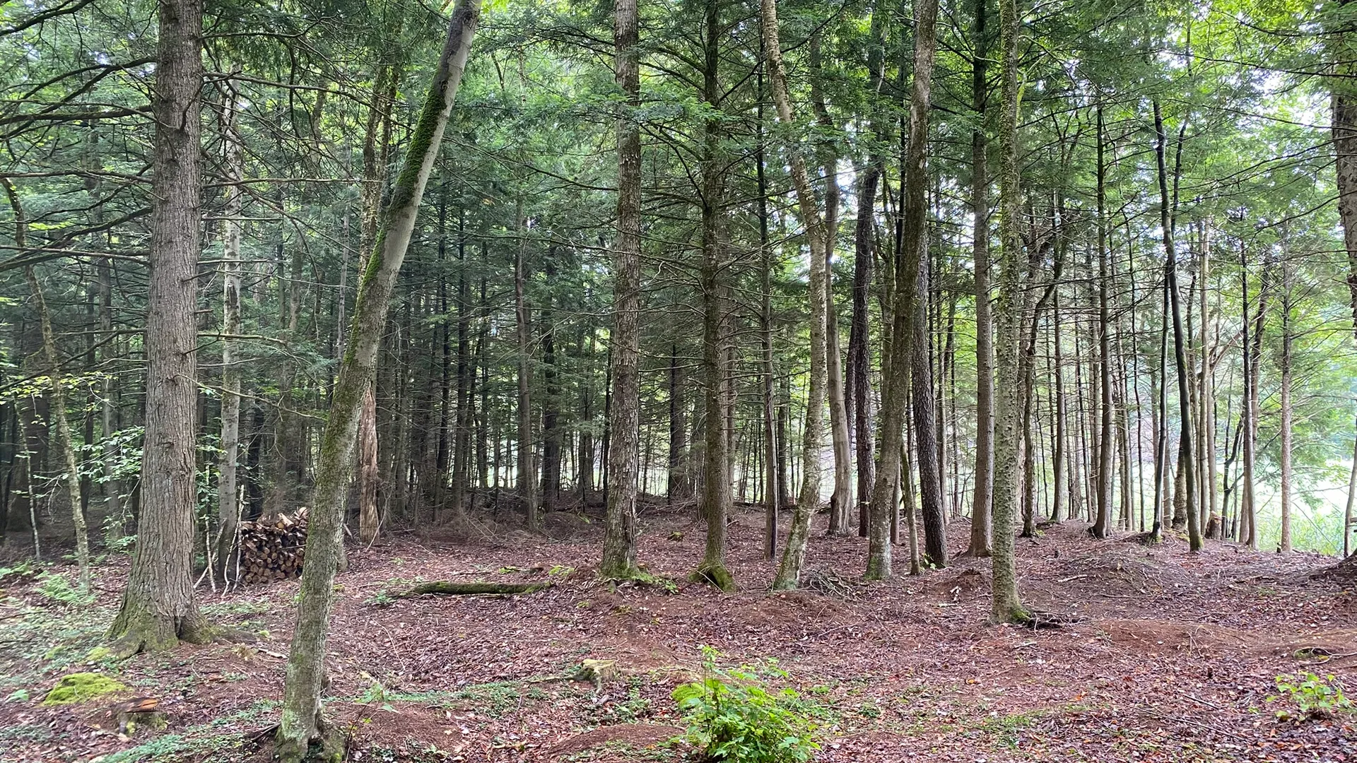 Property at Fisherman's Bridge Road, Williamstown, NY 13493 14