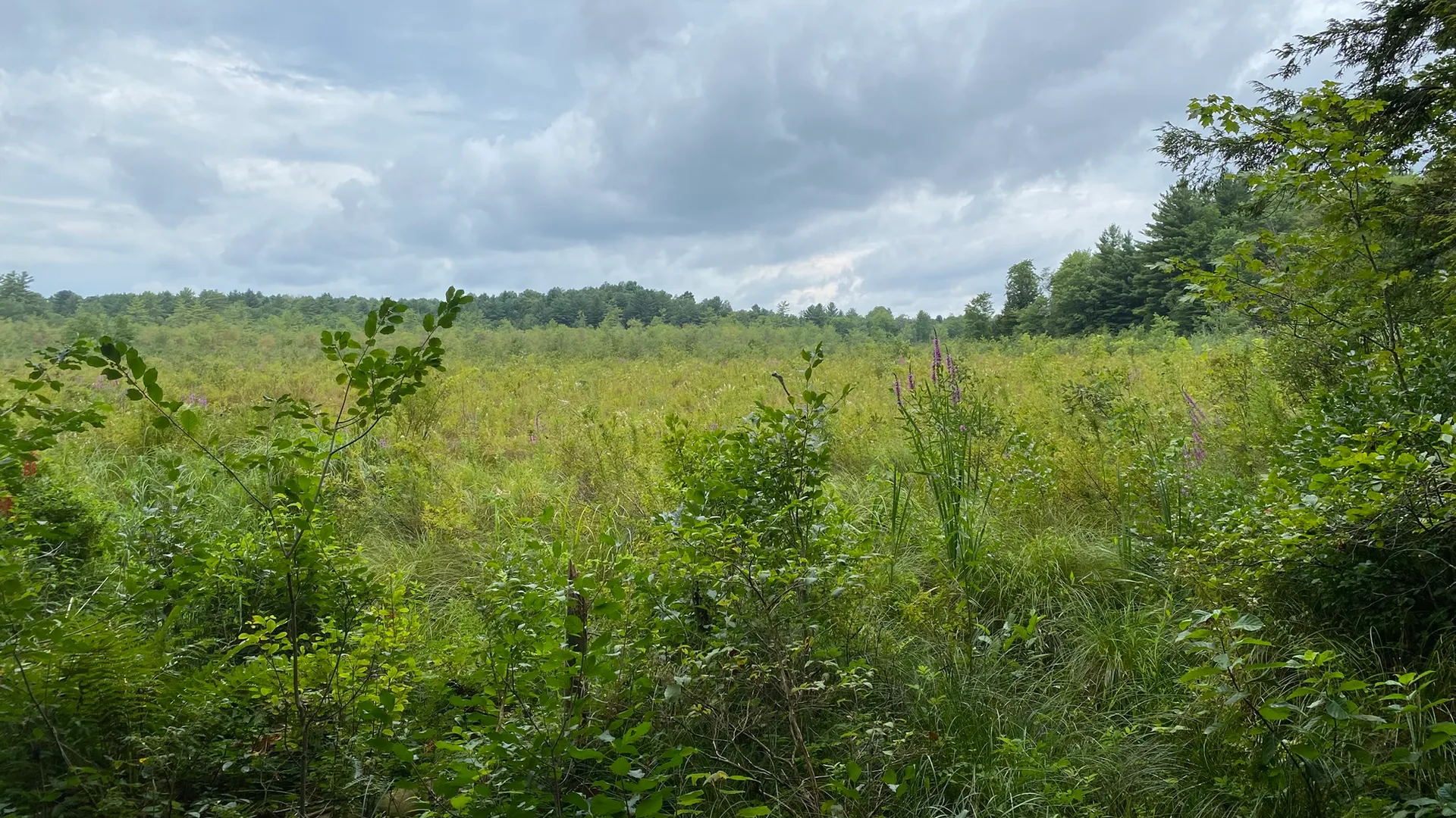 Property at Fisherman's Bridge Road, Williamstown, NY 13493 15