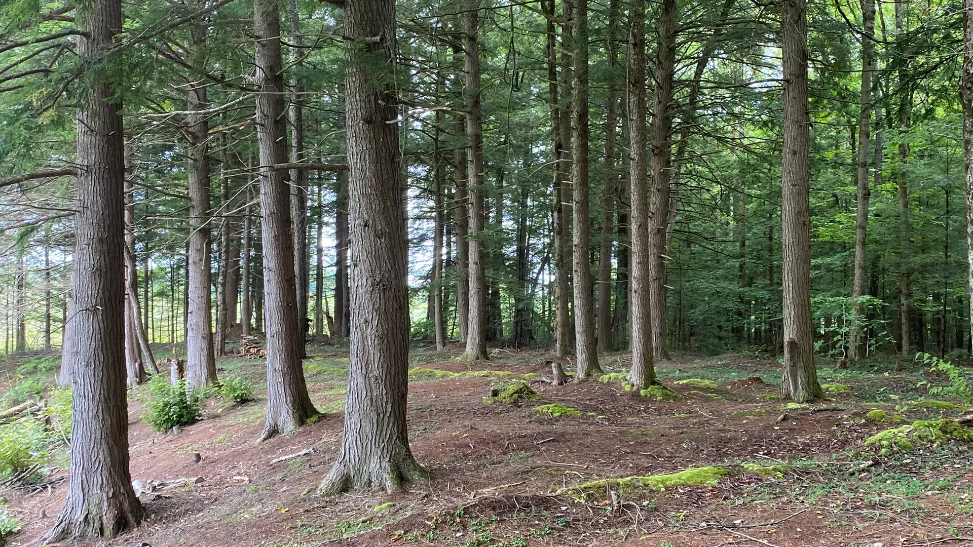 Property at Fisherman's Bridge Road, Williamstown, NY 13493 16