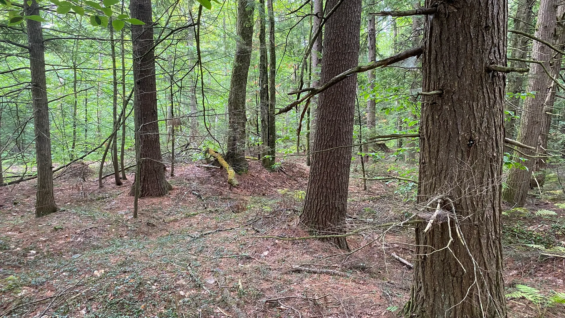 Property at Fisherman's Bridge Road, Williamstown, NY 13493 29