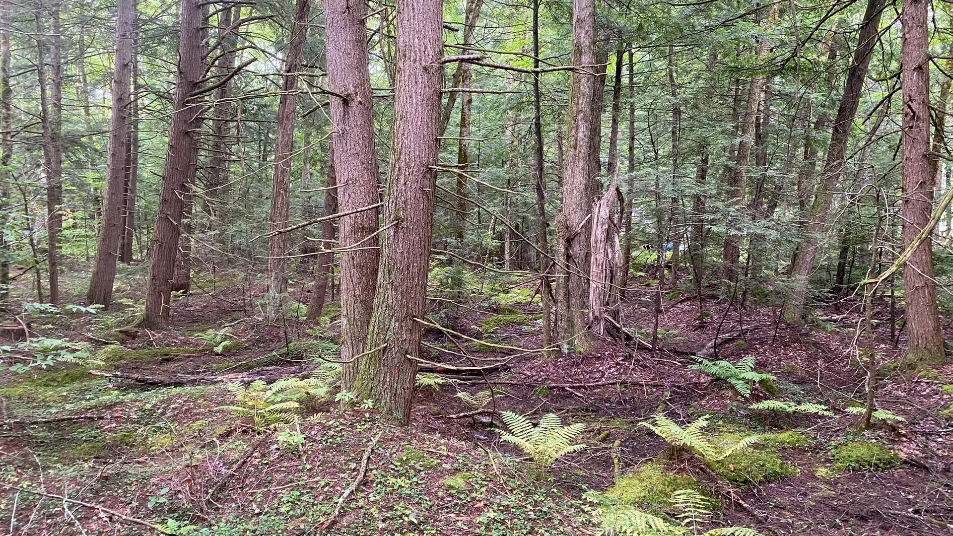 Property at Fisherman's Bridge Road, Williamstown, NY 13493 30