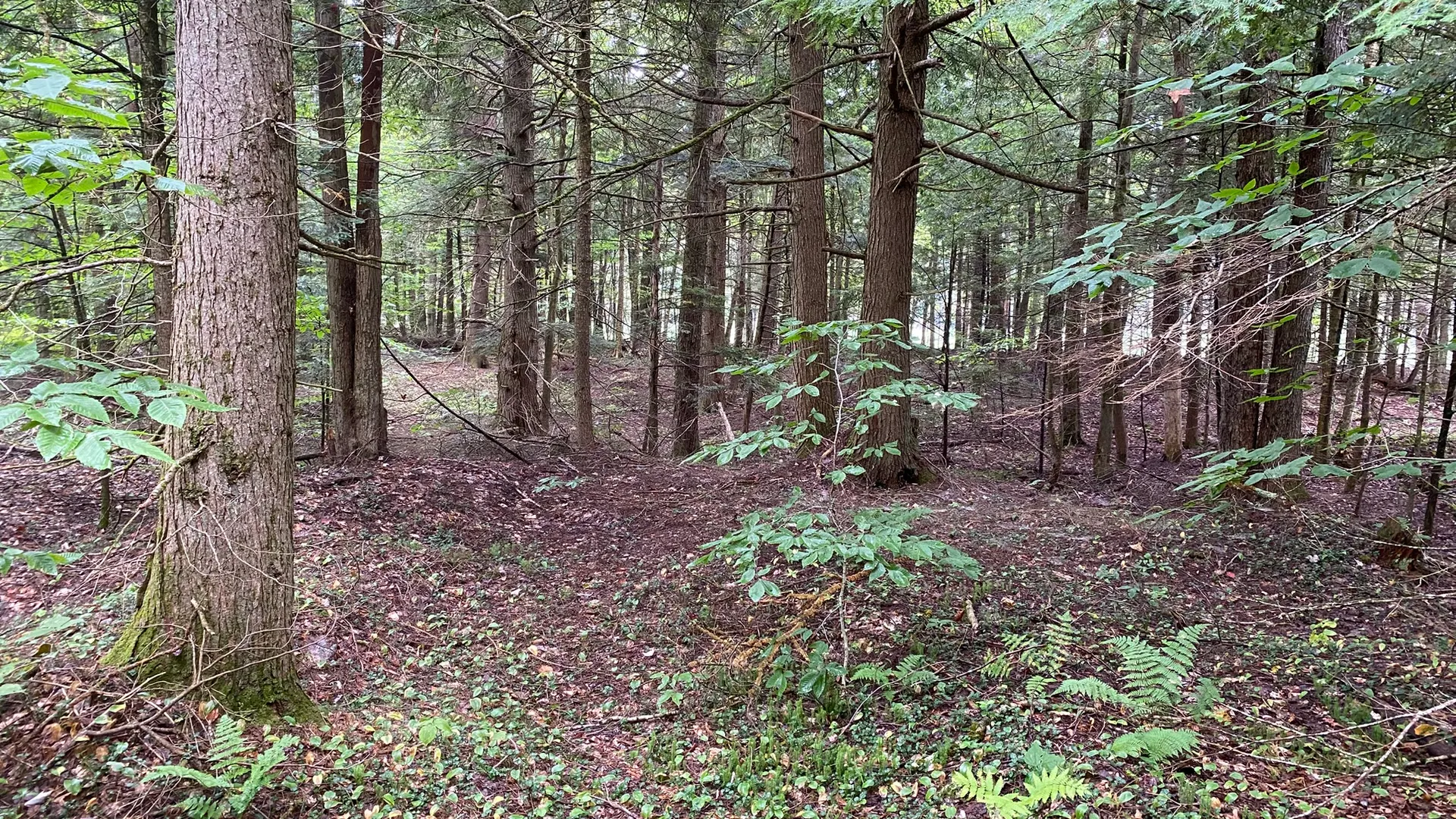 Property at Fisherman's Bridge Road, Williamstown, NY 13493 31