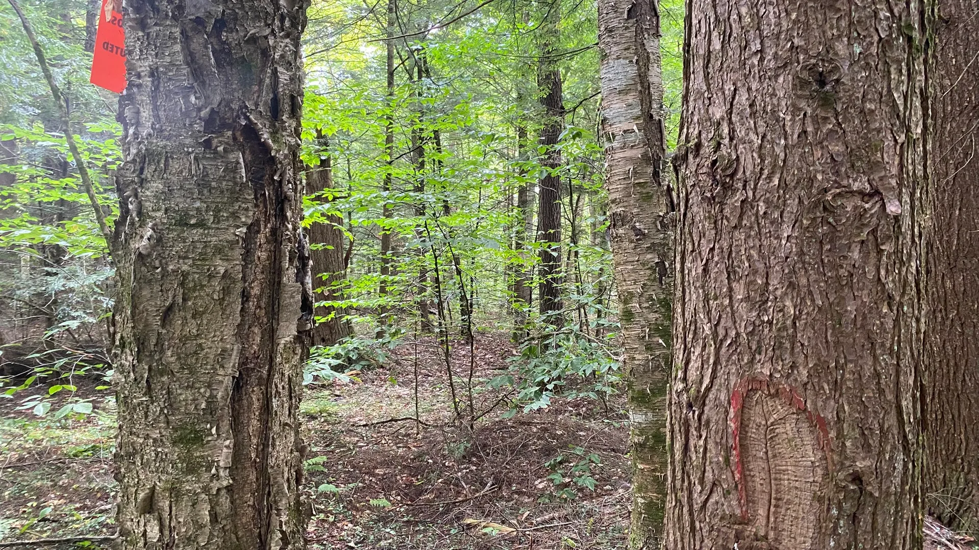 Property at Fisherman's Bridge Road, Williamstown, NY 13493 32