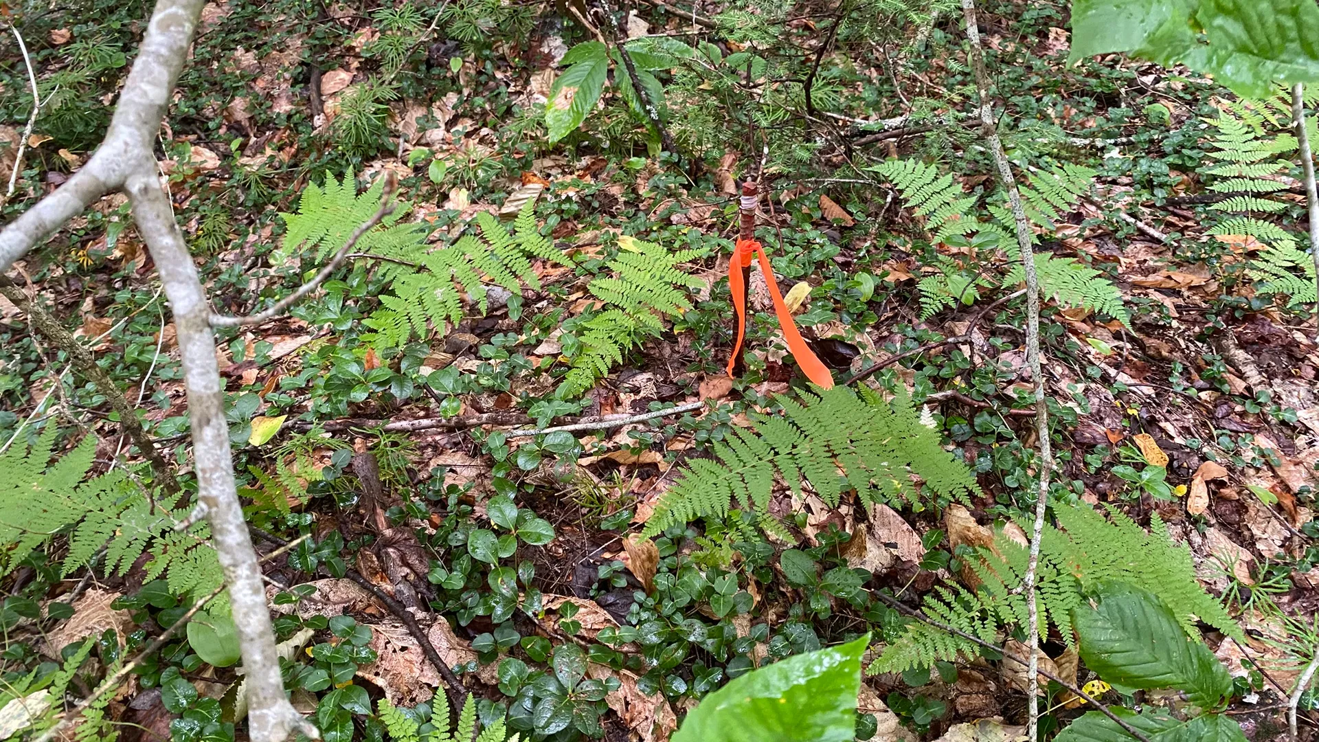 Property at Fisherman's Bridge Road, Williamstown, NY 13493 33