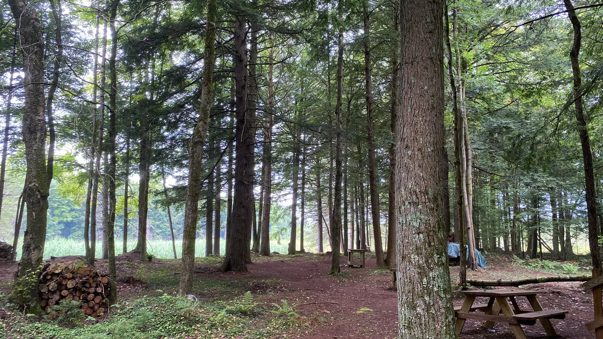 Property at Fisherman's Bridge Road, Williamstown, NY 13493 7