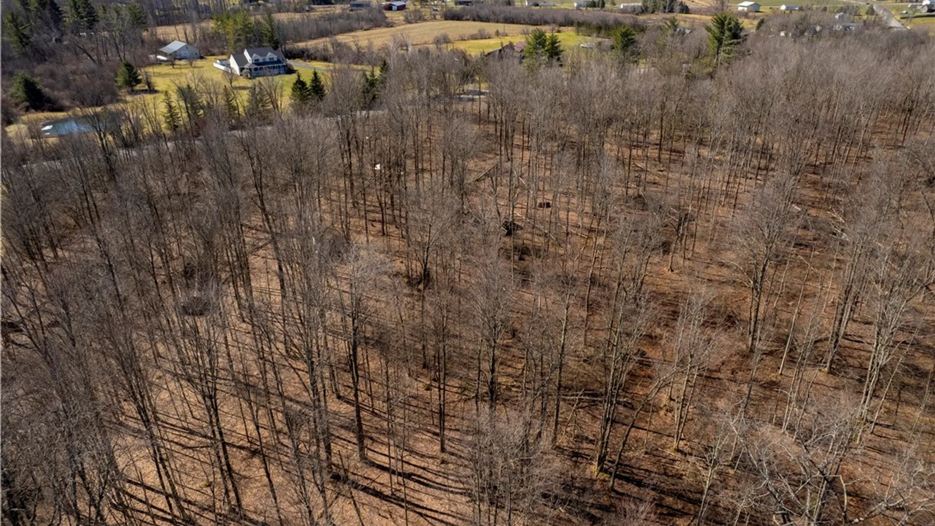 Property at Daily Road, Westmoreland, NY 13440 5