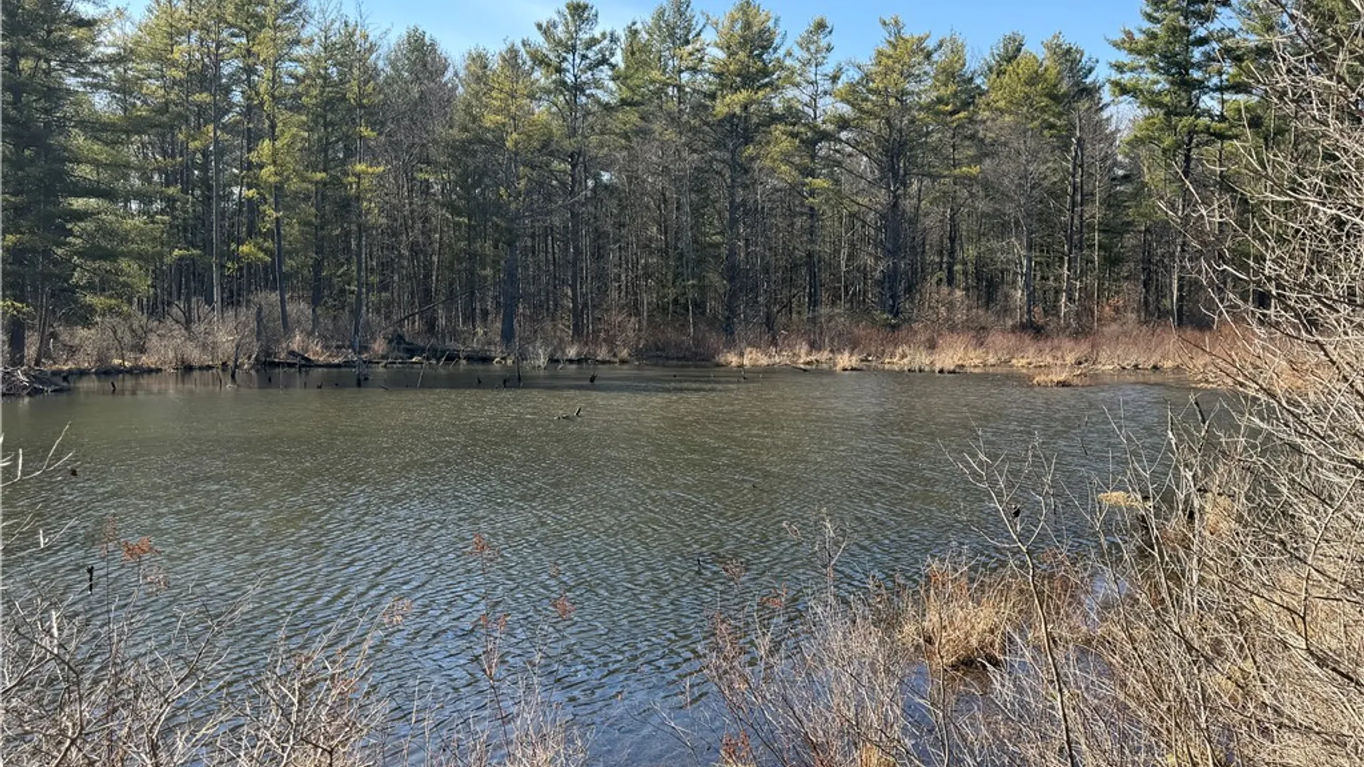 Property at Hattie Clark Road, Smithville, NY 13778 2