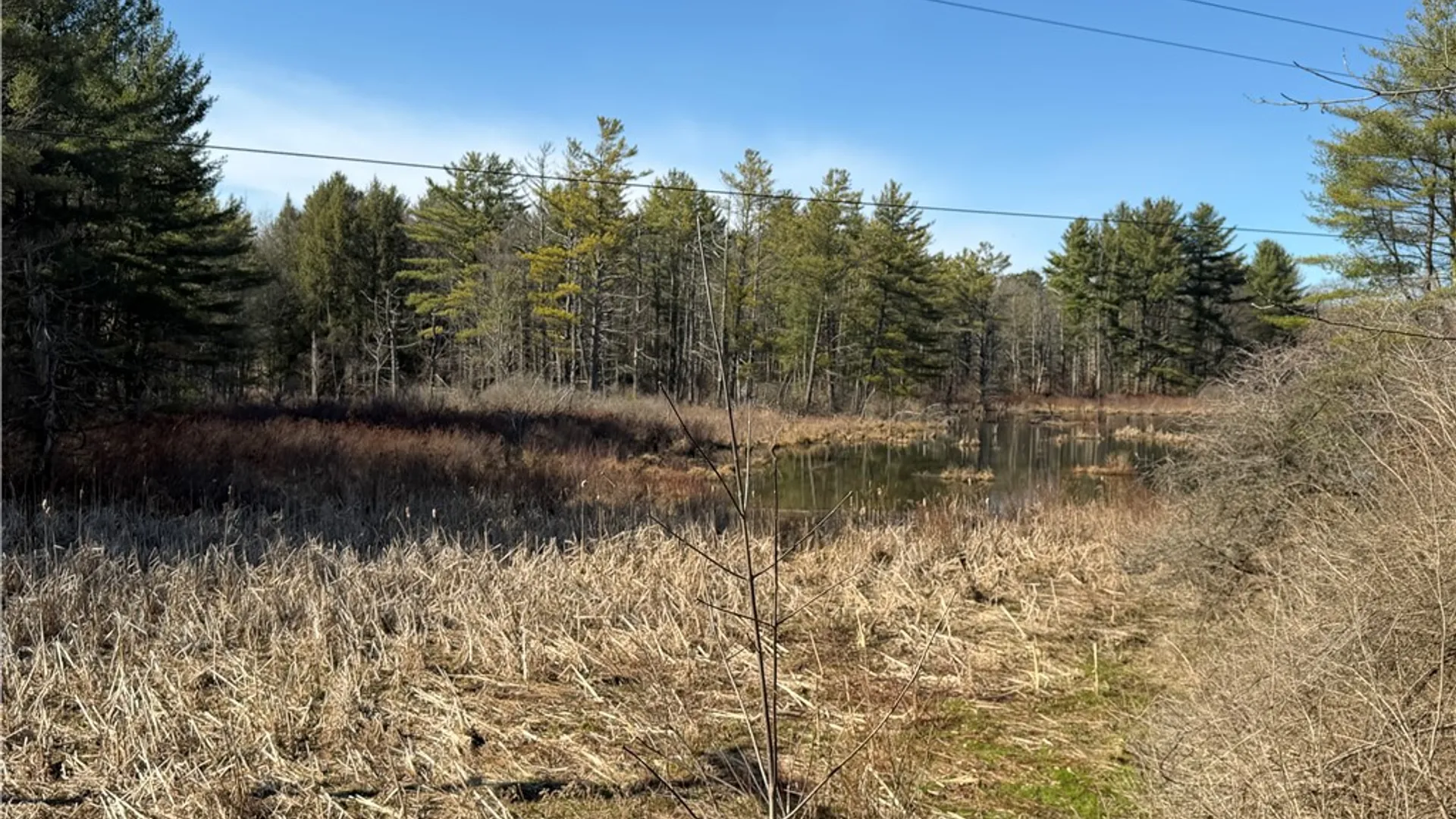 Property at Hattie Clark Road, Smithville, NY 13778 3