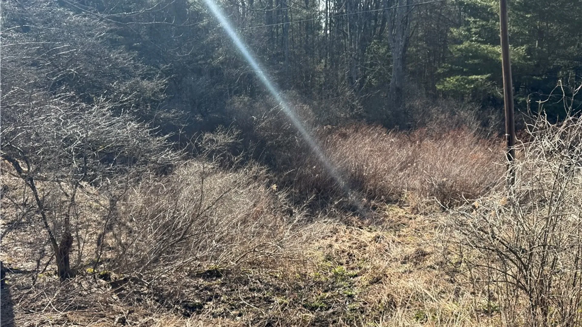 Property at Hattie Clark Road, Smithville, NY 13778 6