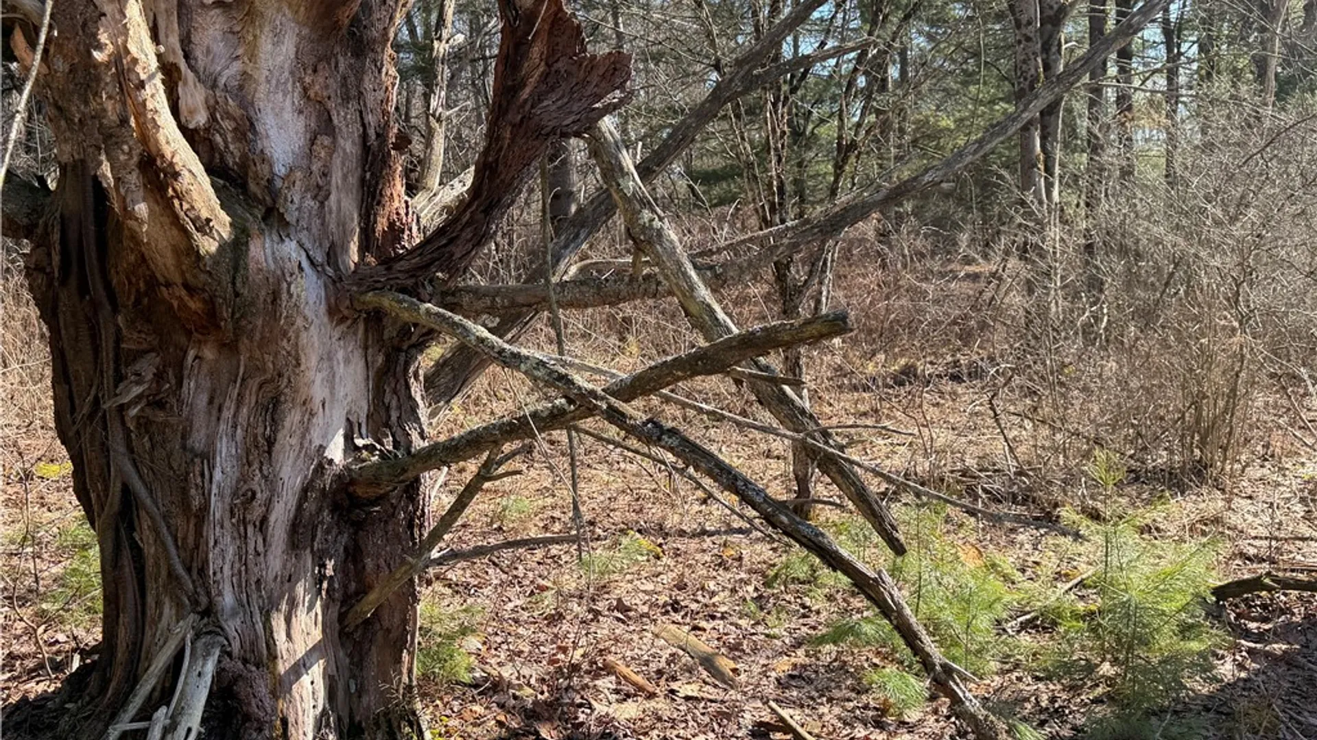 Property at Hattie Clark Road, Smithville, NY 13778 7