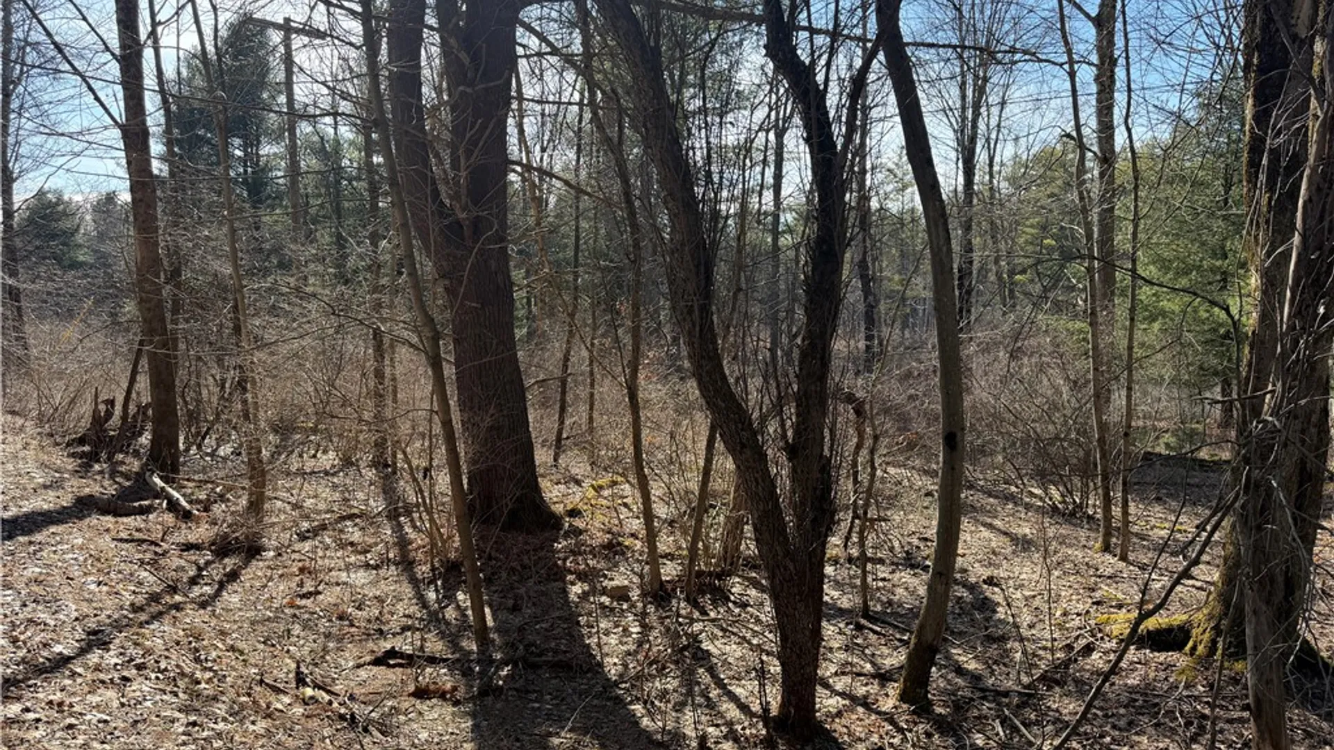 Property at Hattie Clark Road, Smithville, NY 13778 8