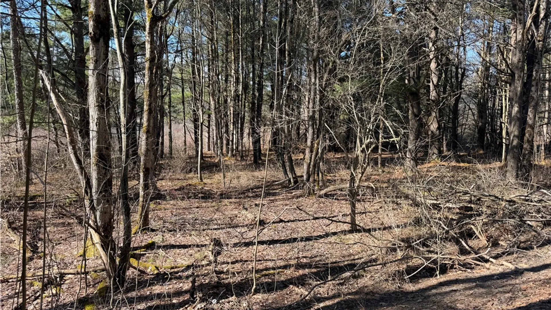 Property at Hattie Clark Road, Smithville, NY 13778 9