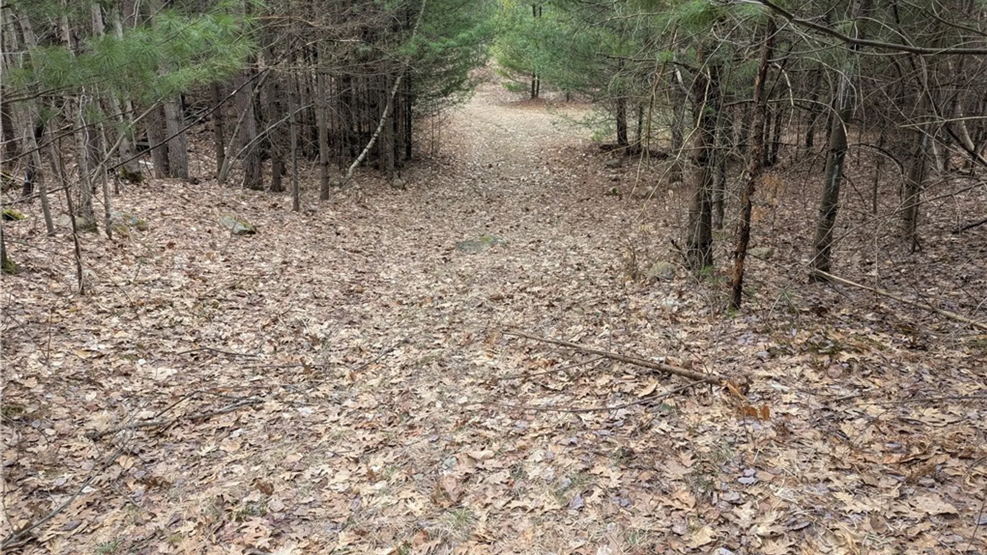 Property at 7131 Maple Drive, Watson, NY 13343 2