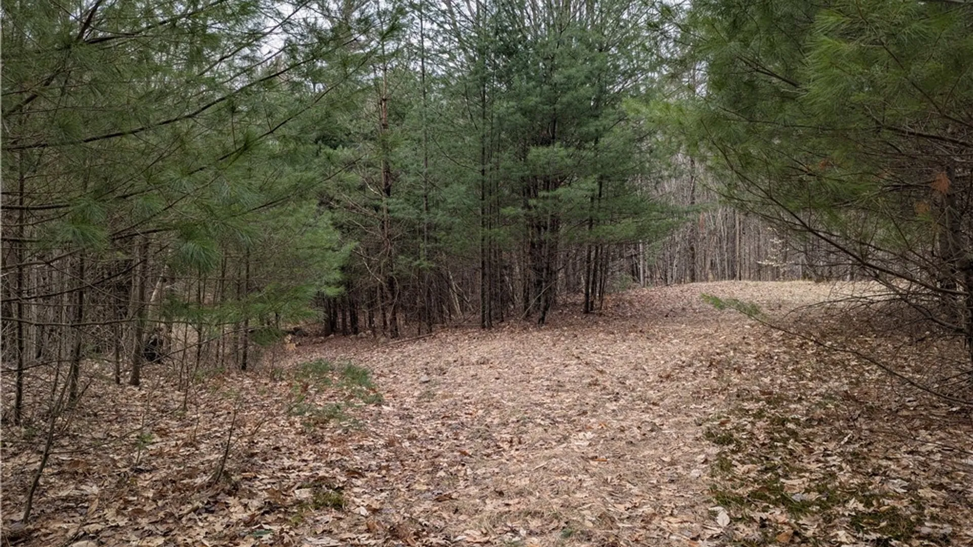 Property at 7131 Maple Drive, Watson, NY 13343 3