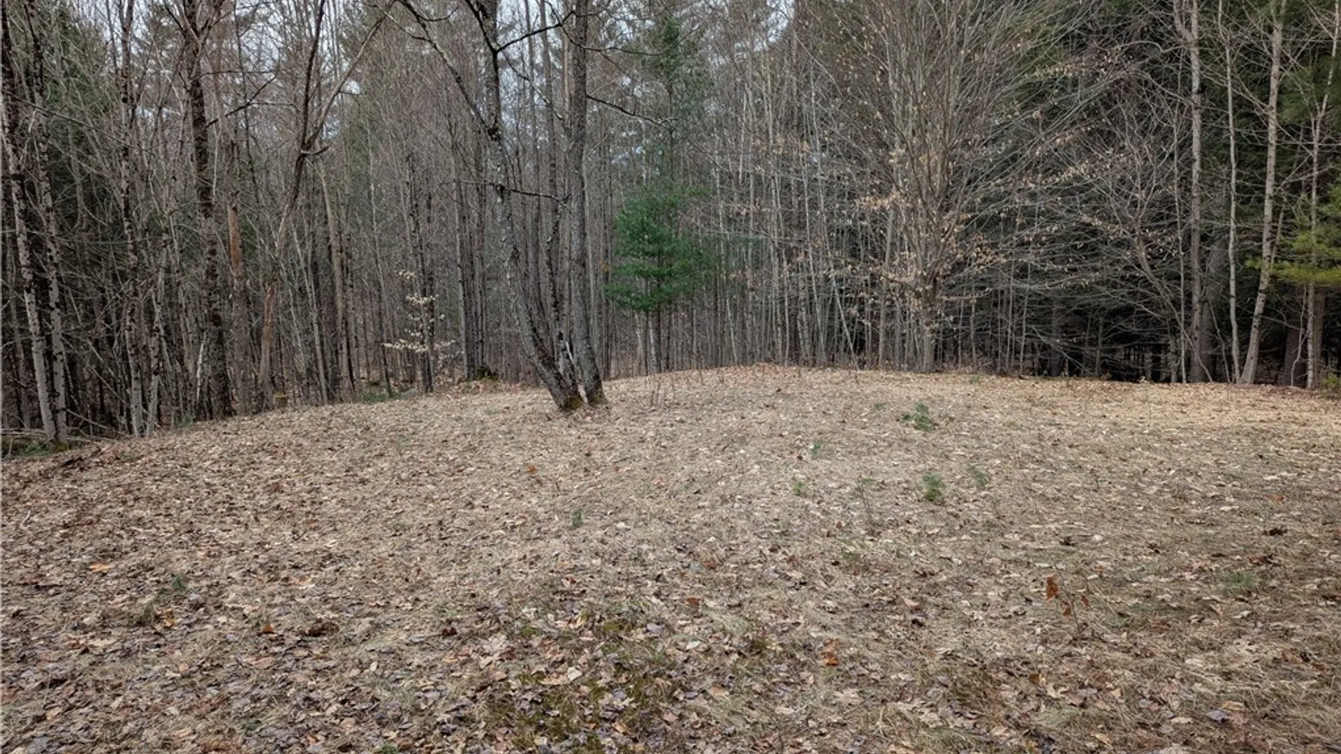 Property at 7131 Maple Drive, Watson, NY 13343 4