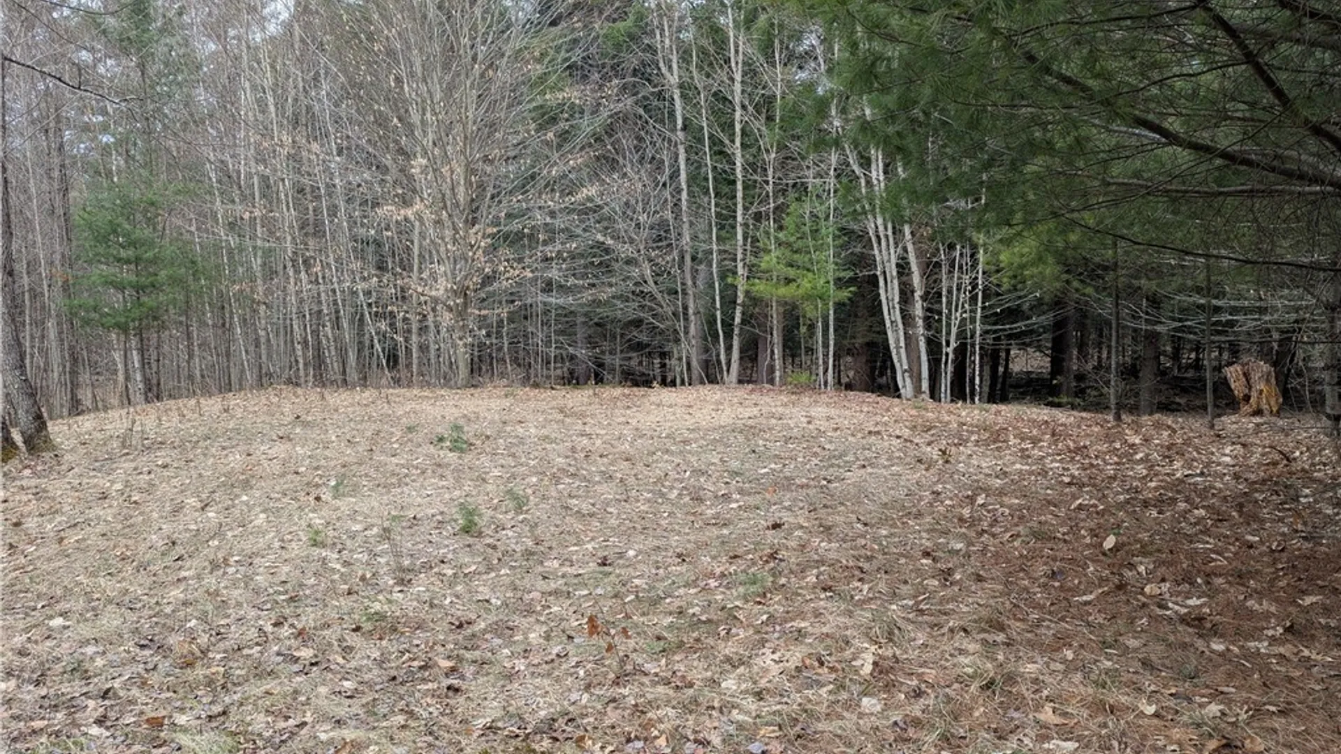 Property at 7131 Maple Drive, Watson, NY 13343 5