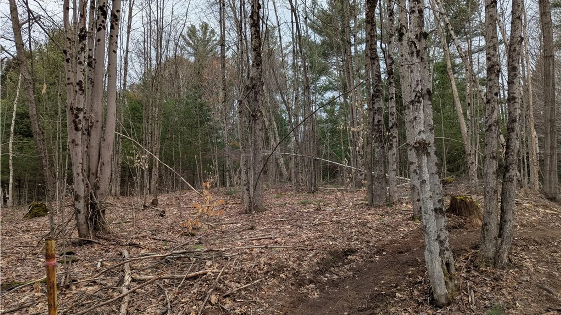 Property at 7131 Maple Drive, Watson, NY 13343 7