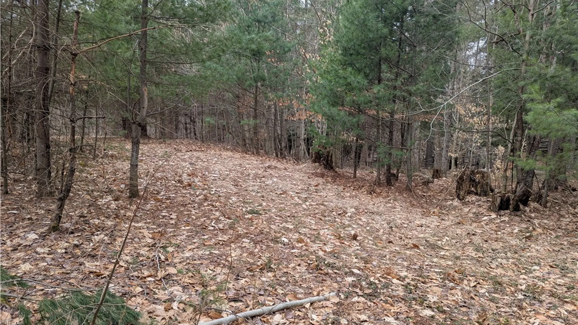 Property at 7131 Maple Drive, Watson, NY 13343 8