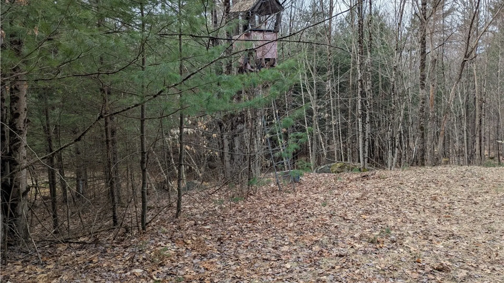 Property at 7131 Maple Drive, Watson, NY 13343 9