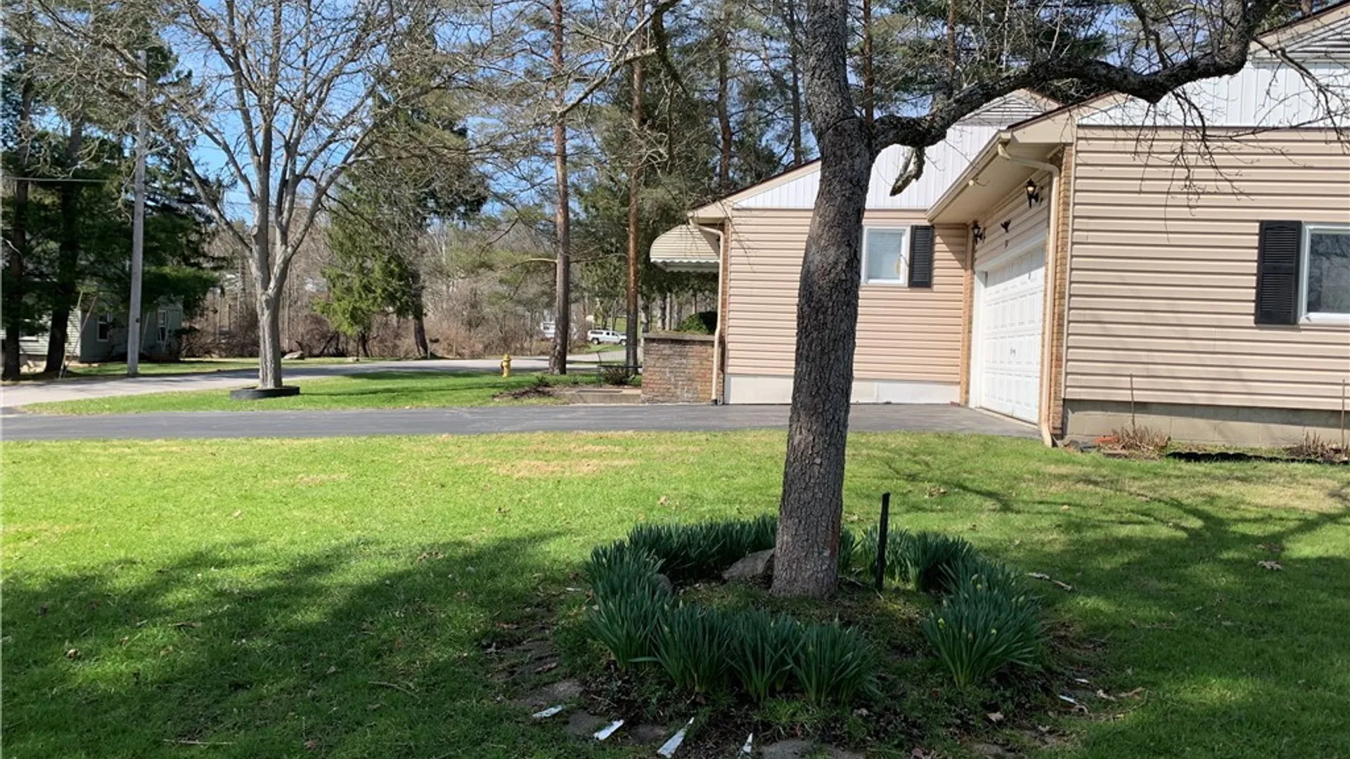 Property at 30 Magnolia Avenue, Ellicott, NY 14701 34