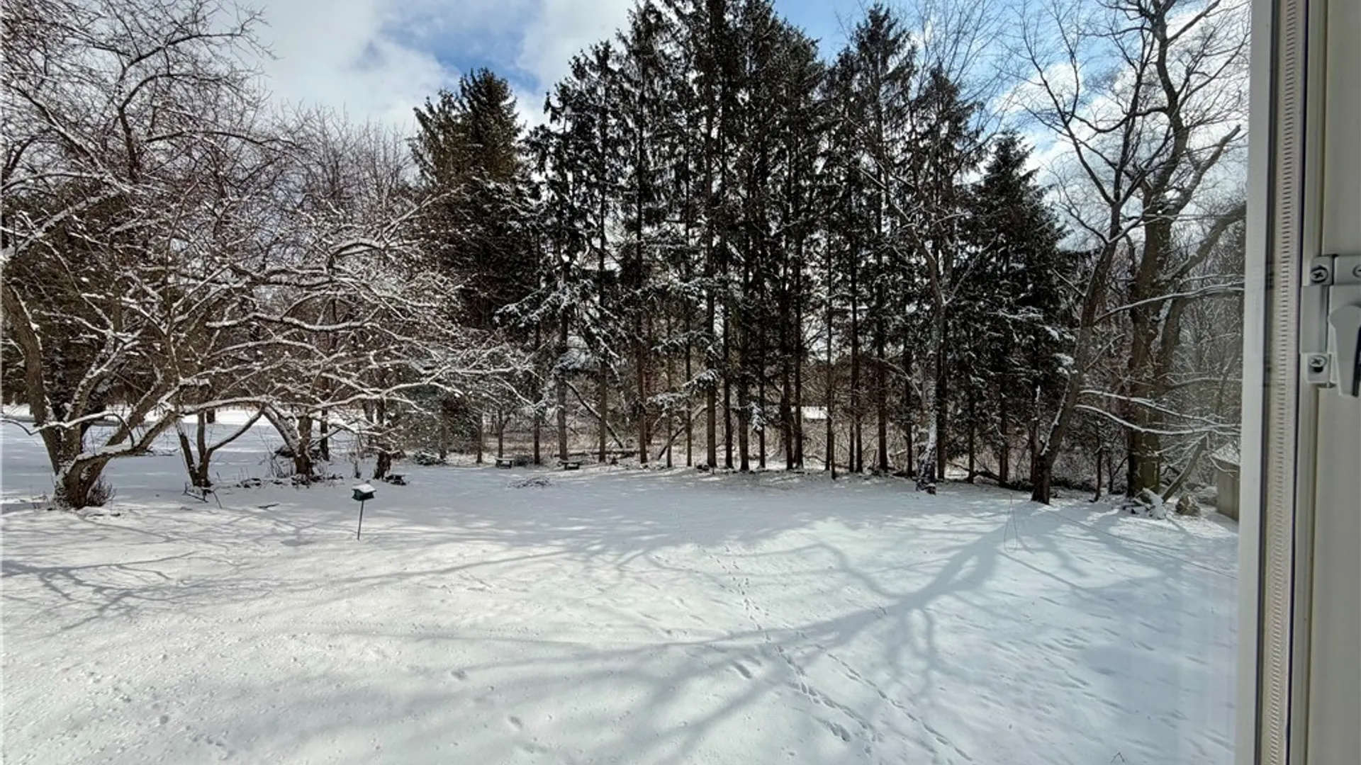 Property at 104 Mill Street, Dryden, NY 13068 35